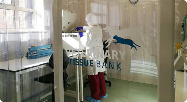 Veterinary Tissue Bank interior