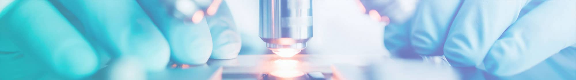 Vet using microscope