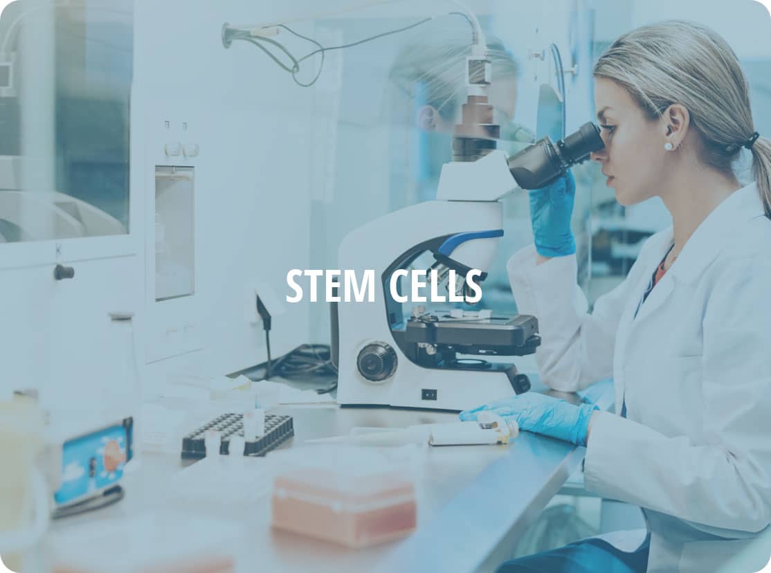 Stem Cells