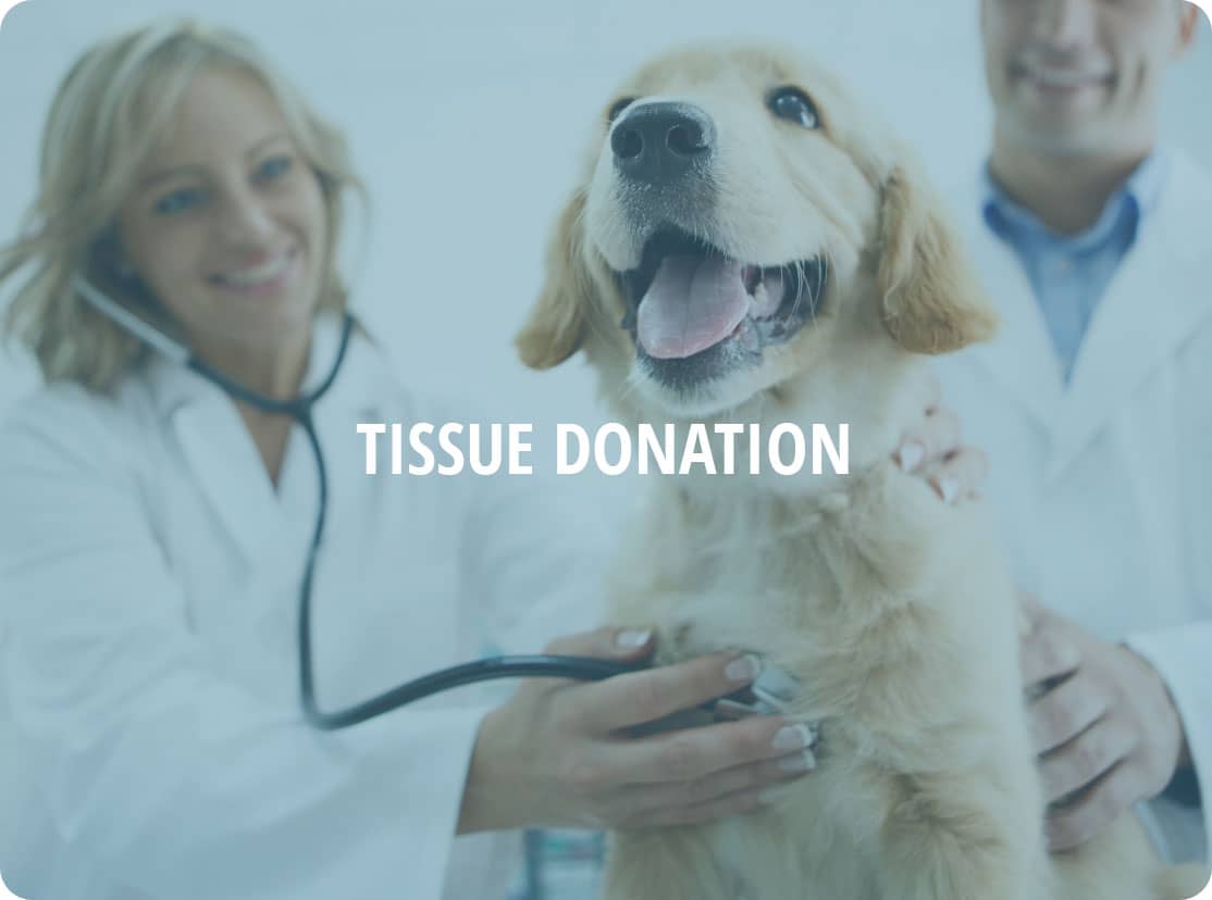 Tissue Donation