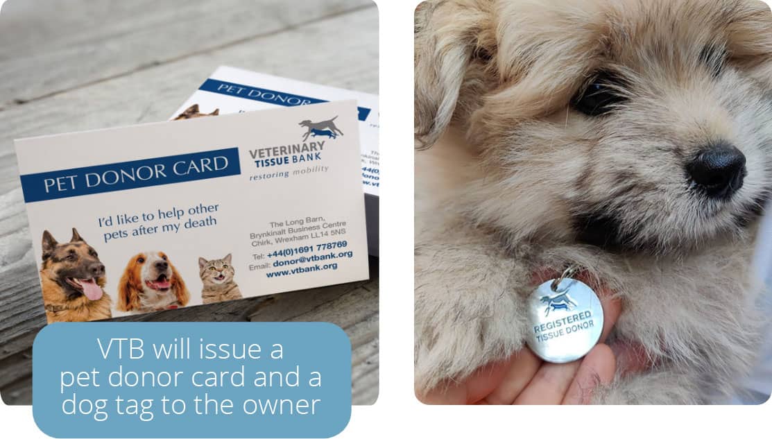 VTB will issue a pet donor card and a dog tag to the owner