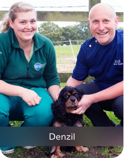 Denzil