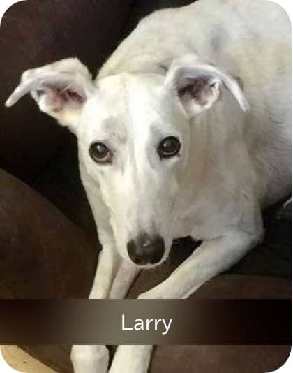 Larry