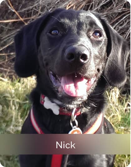 Nick